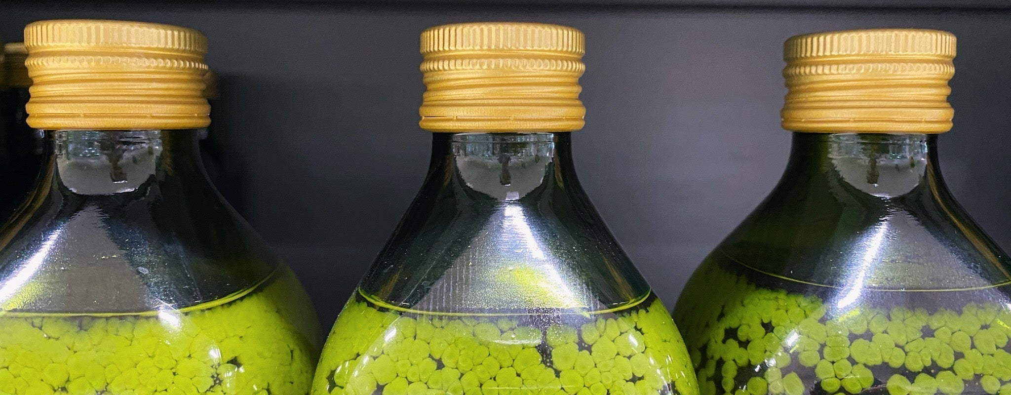 What is this white stuff in olive oil? A look at frozen EVOO.