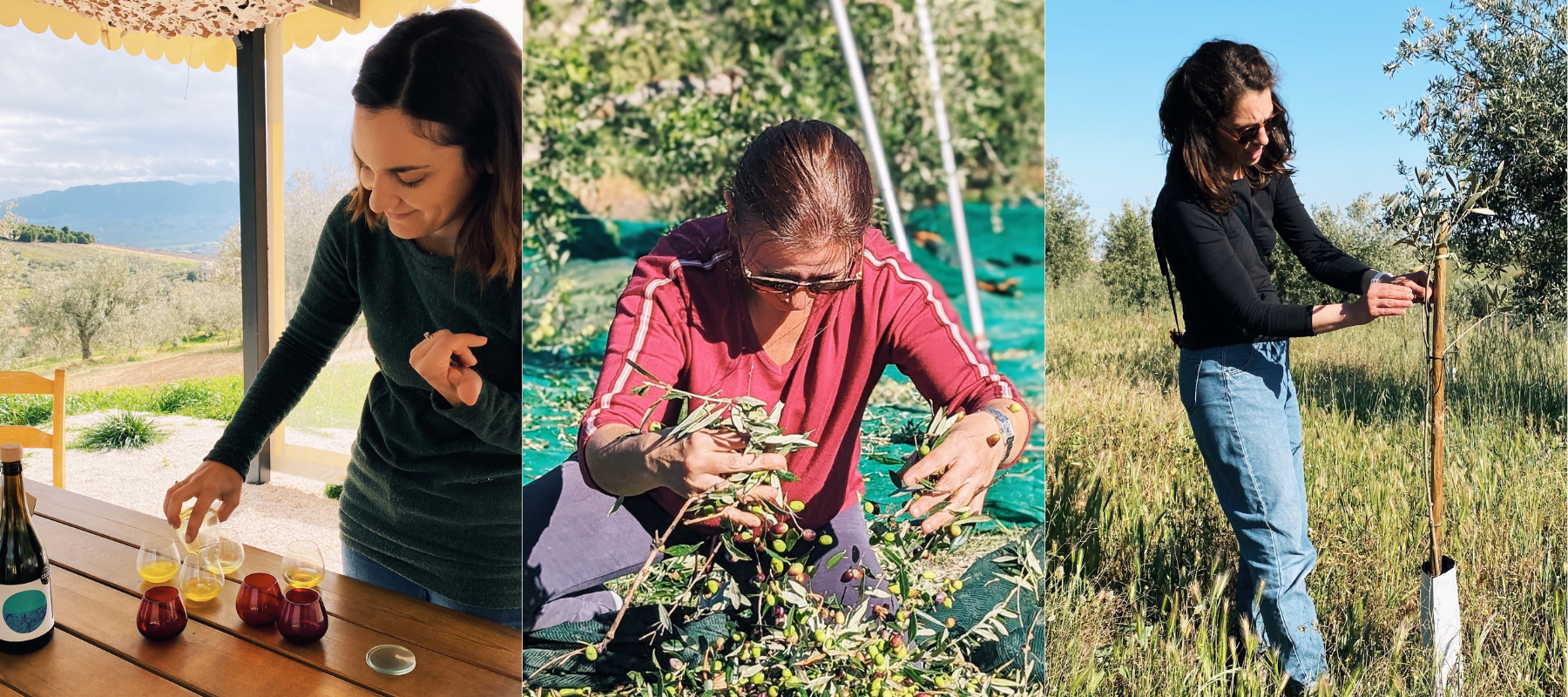 Image for Why we source from female farmers: Our extra virgin olive oils come from women across the Mediterranean, but w
