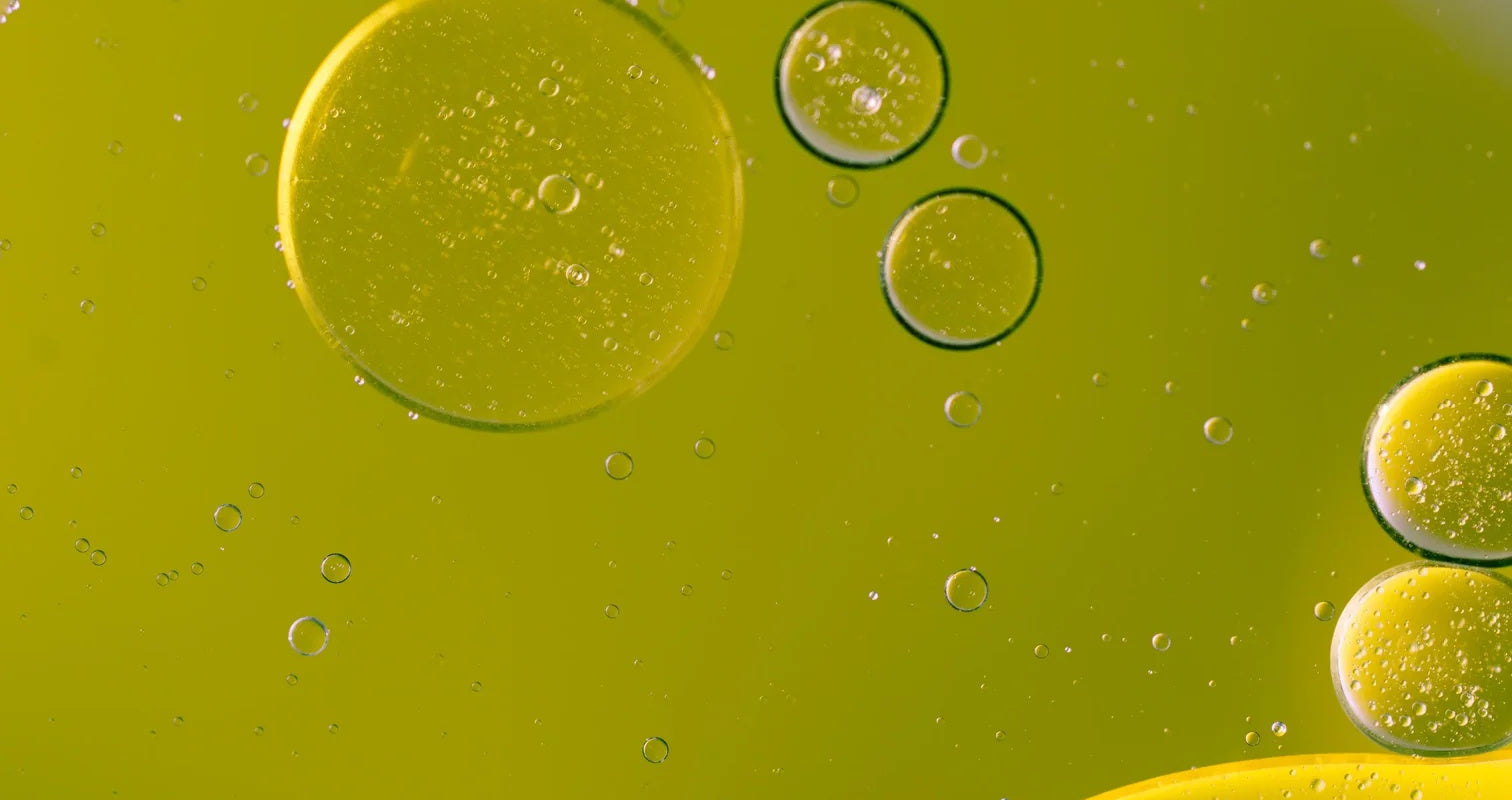 Polyphenols in extra virgin olive oil. Everything you need to know.