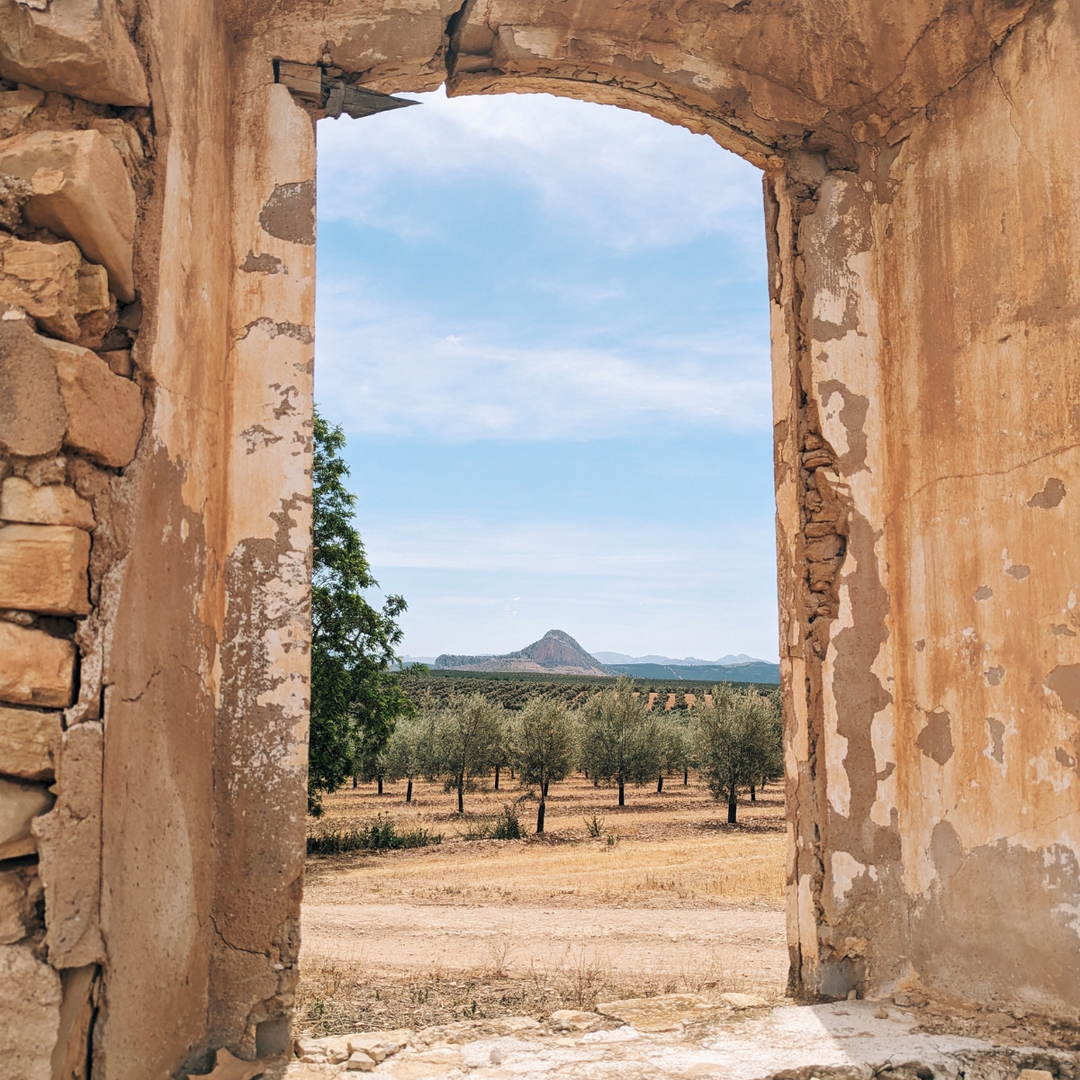 Ruins with a stone archway overlooking a landscape with olive trees and mountains.