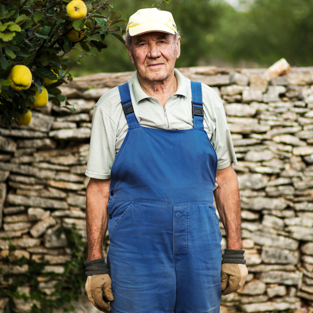 Croatian Extra Virgin Olive Oil