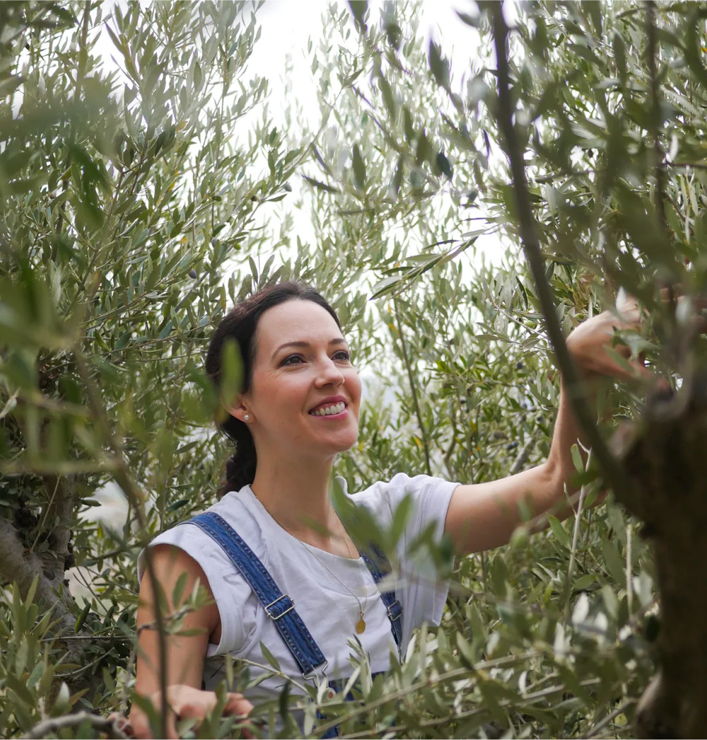 Woman among olive trees in an olive grove